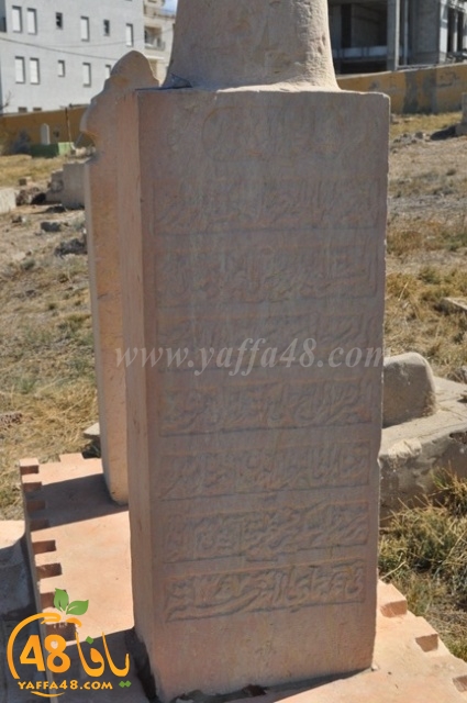 WhatsApp Image 2022-05-25 at 1.01.44 PM (3).jpg